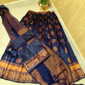 The Royal Muse – Plum Gold Banarasi Set